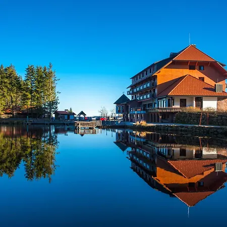 Schusterjunge A2 * Sasbachwalden